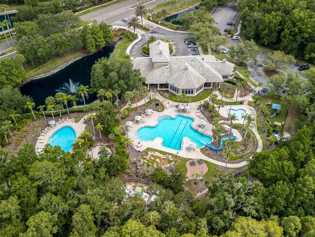 Building Photo - Tampa Palms Condo