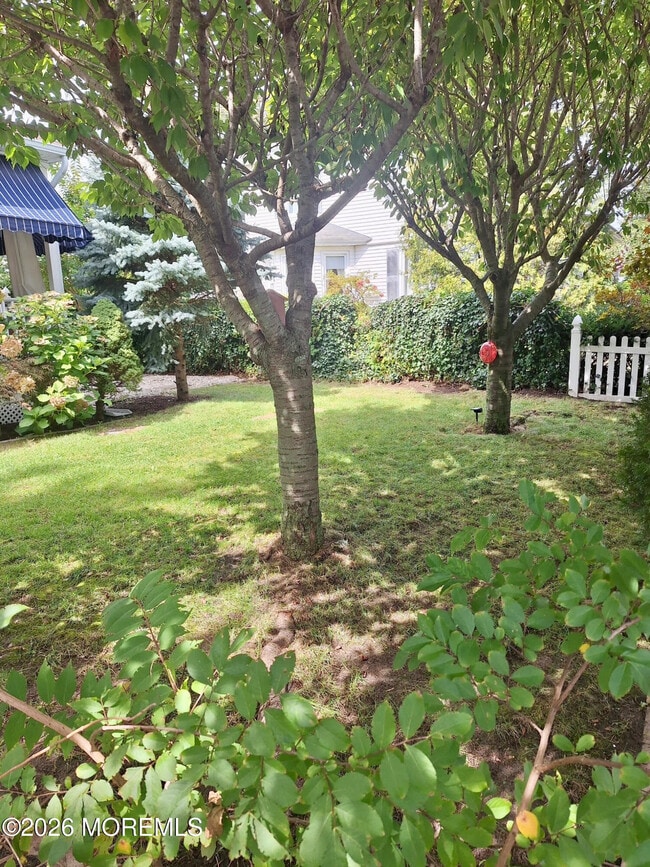 Building Photo - 331 Richmond Ave