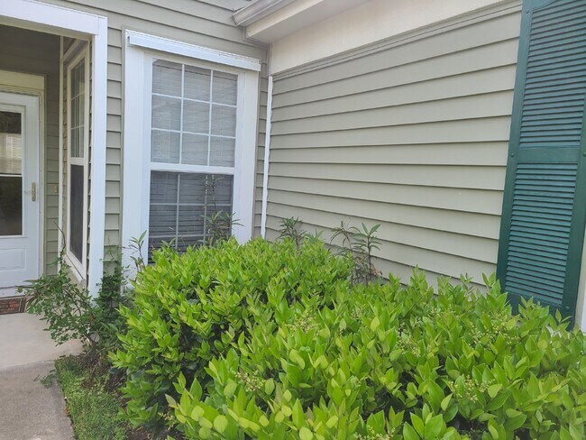 Building Photo - Beautiful Three Bedroom Home Sun City Home!