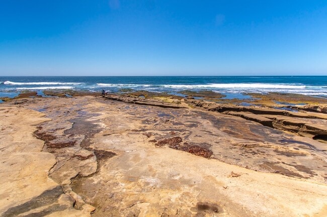 Building Photo - Extraordinary 5-Bed / 5-Bath Oceanfront Pr...