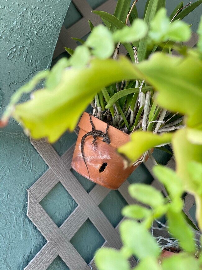 Building Photo - 2227 Pineland Dr