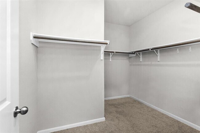 Building Photo - 10220 Goose Creek Ln