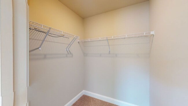 Building Photo - 2608 Sailor Rose Ln