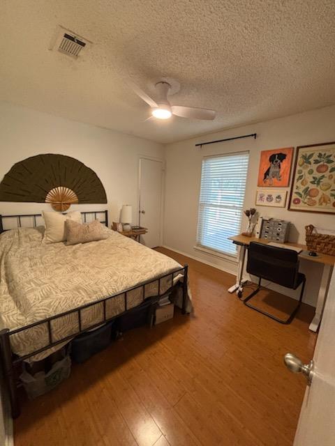 Building Photo - 3319 Dolphin Dr