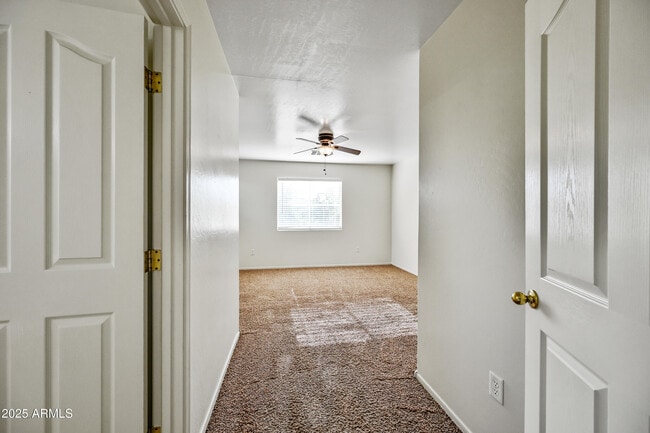 Building Photo - 1528 S Roadrunner Dr