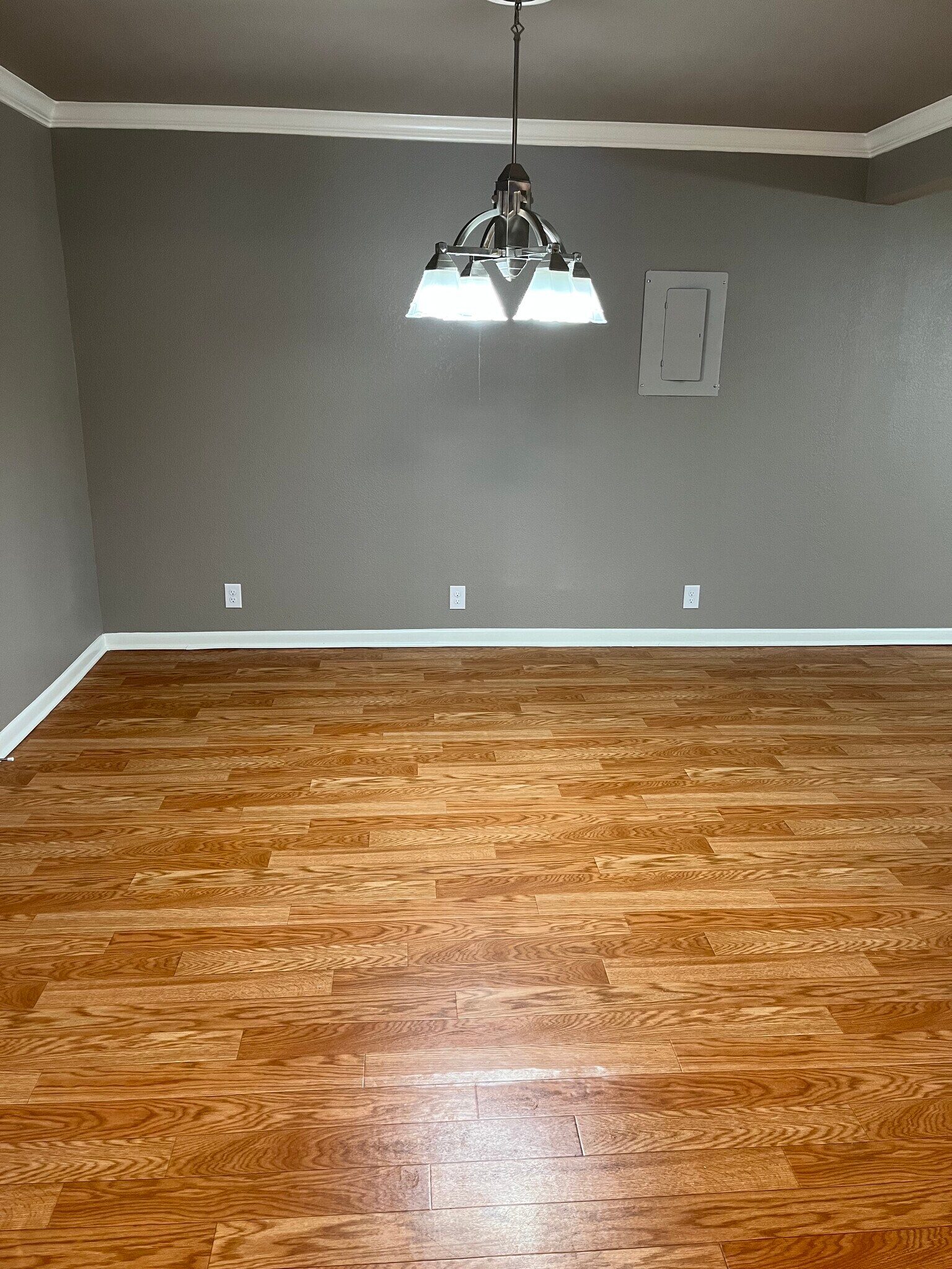 Living area - 3517 Swan St