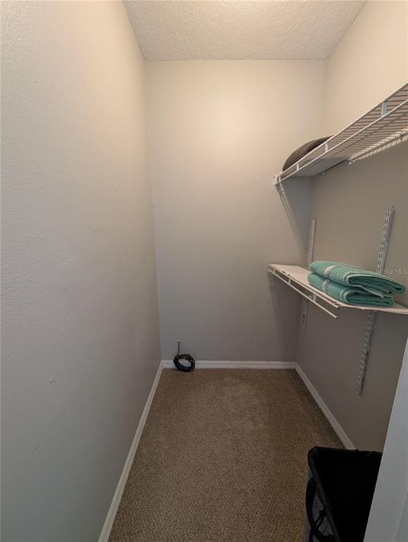 Building Photo - 1675 Judith Dr