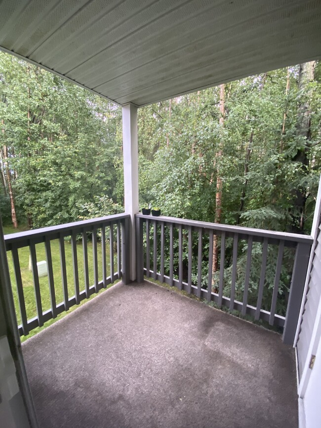 Balcony - 123 E Potter Dr