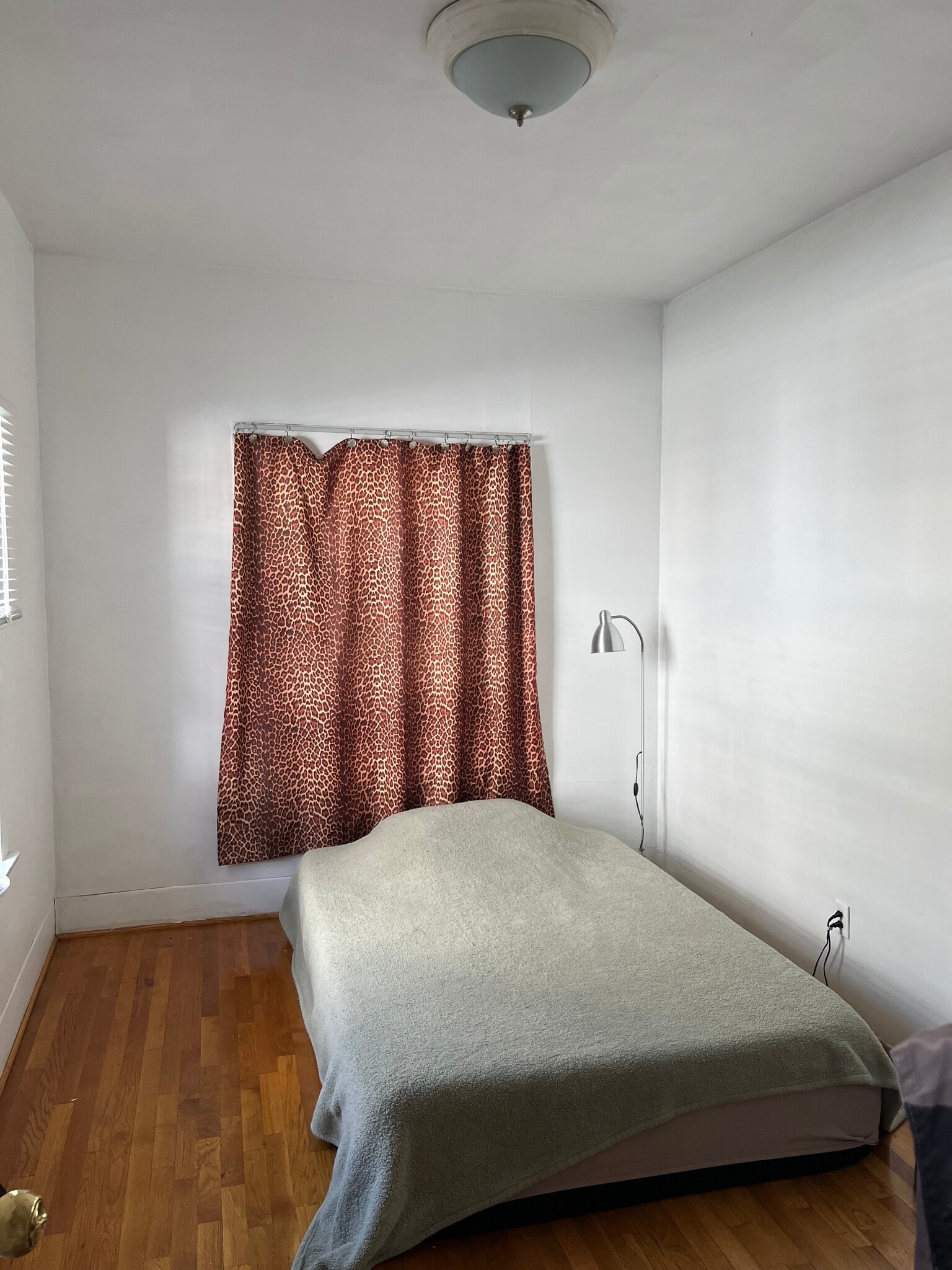 Building Photo - 1003 N Coronado St