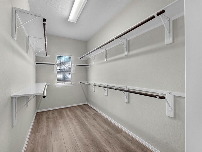 Building Photo - 11643 Royal Oaks View