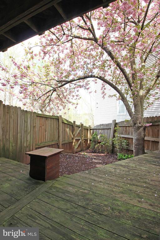 Building Photo - 4236 Bordolino Dr