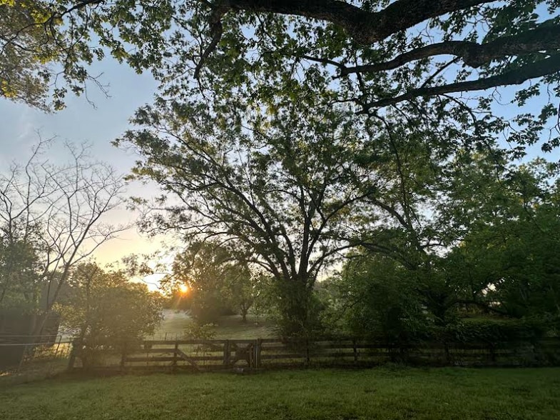 Building Photo - 14757 County Rd 1125