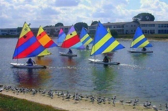 Building Photo - 147 Salisbury G