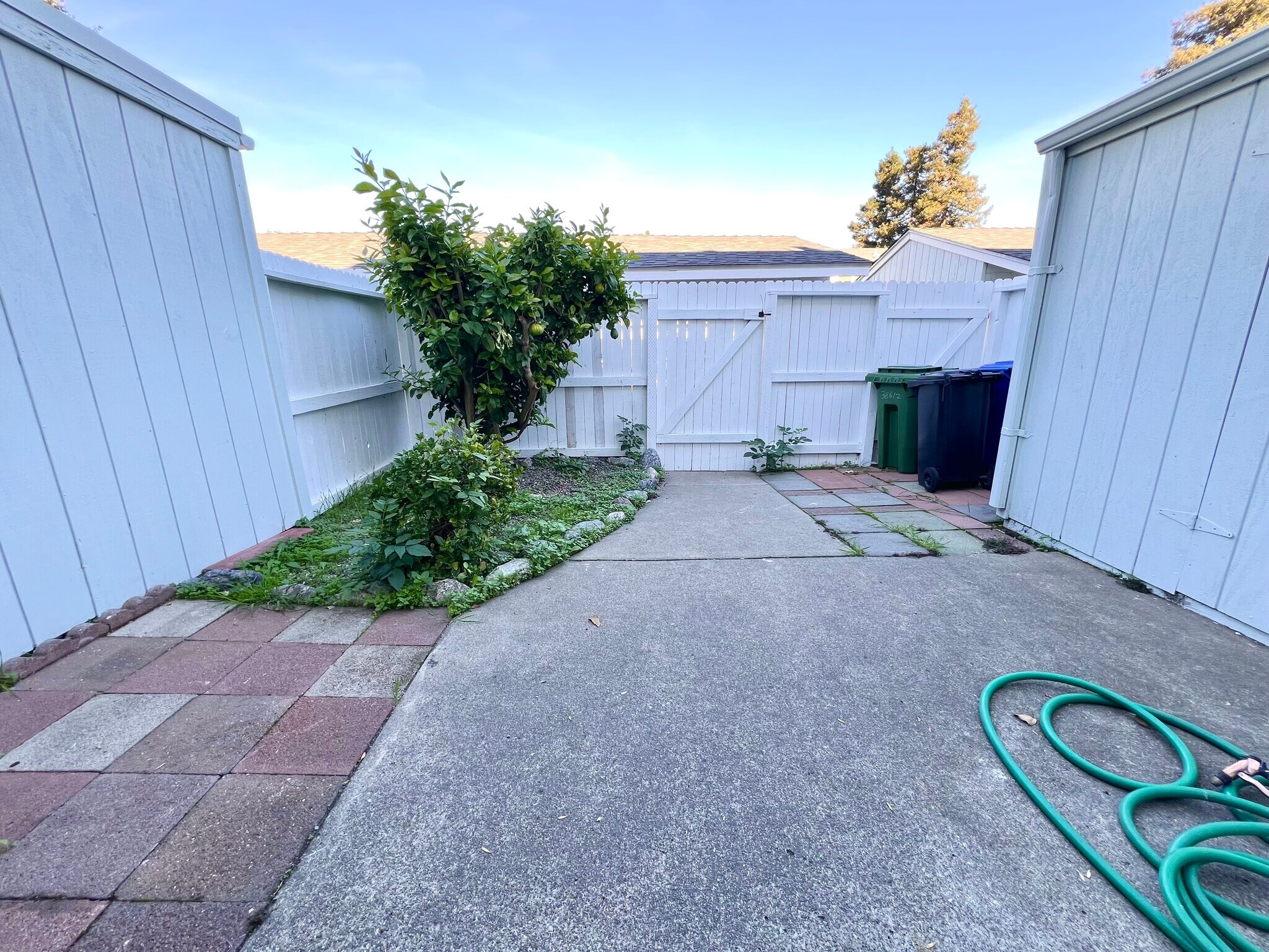 Patio - 38612 Royal Ann Cmn