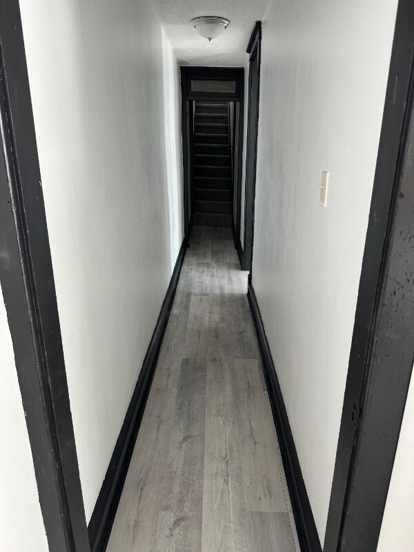 Building Photo - 1031 Marion St