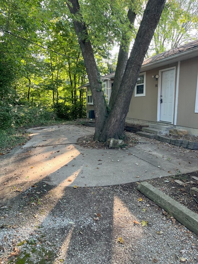 Building Photo - P4 - West Wood (Troy Duplex)