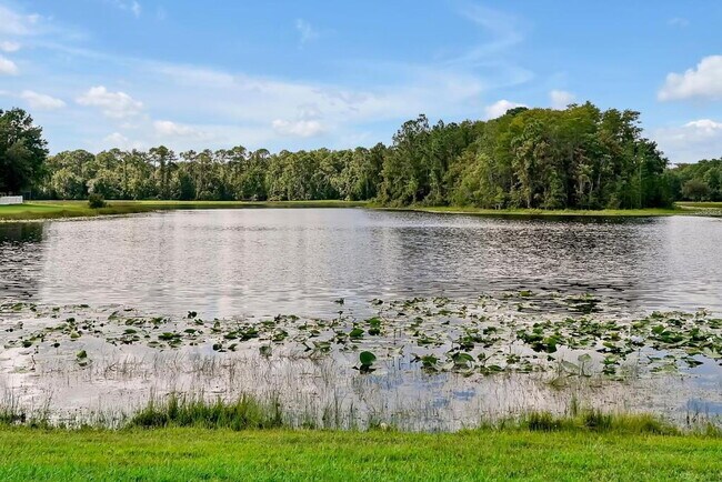 Building Photo - "Stunning 3BR Orlando Home with Private Screened Pool, Spa & Spacious Living Areas"