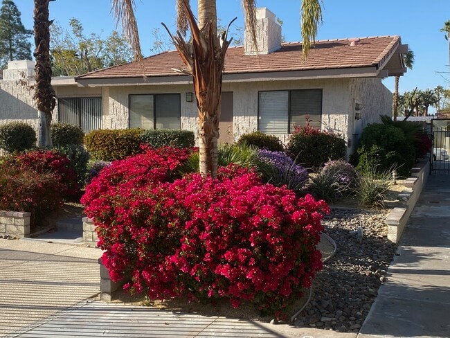 Building Photo - Desert Dorado Villas
