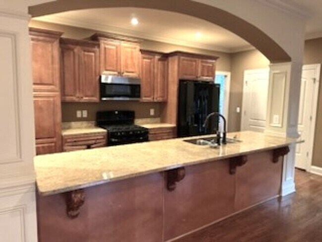 Building Photo - 217 Asheton Lakes Way