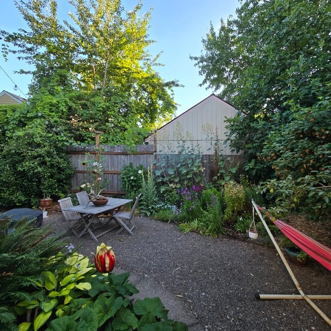 back yard in summer - 555 N Simpson St