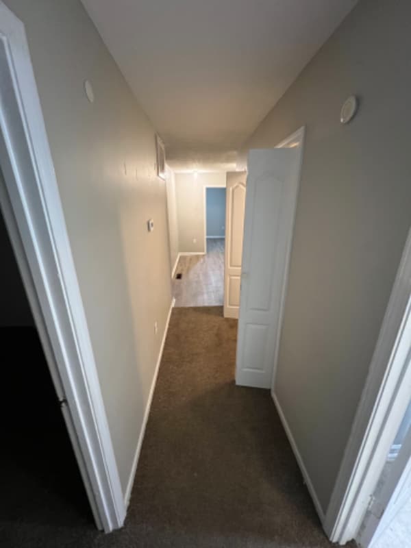 Building Photo - 302 Molloy Ct