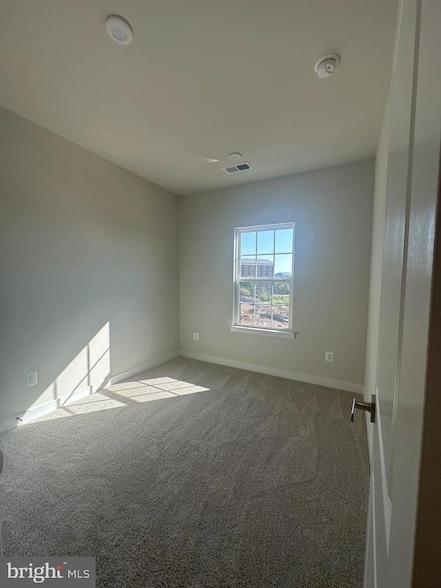 Building Photo - 4504 Dandelion Loop