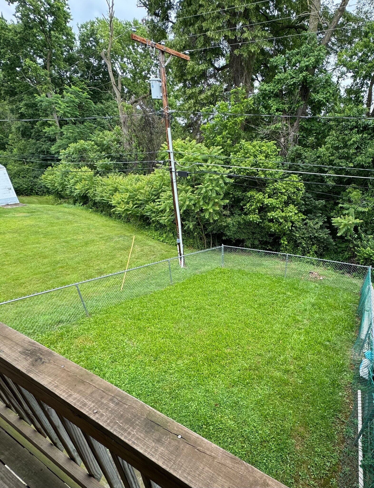 Spacious back yard - 45 S Colonial Dr