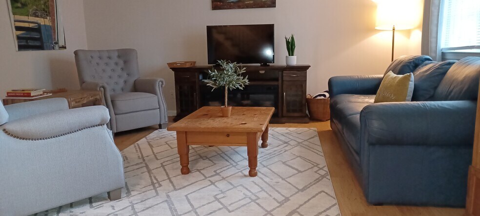 Fireplace (electric) in living room - 705 Elsom St