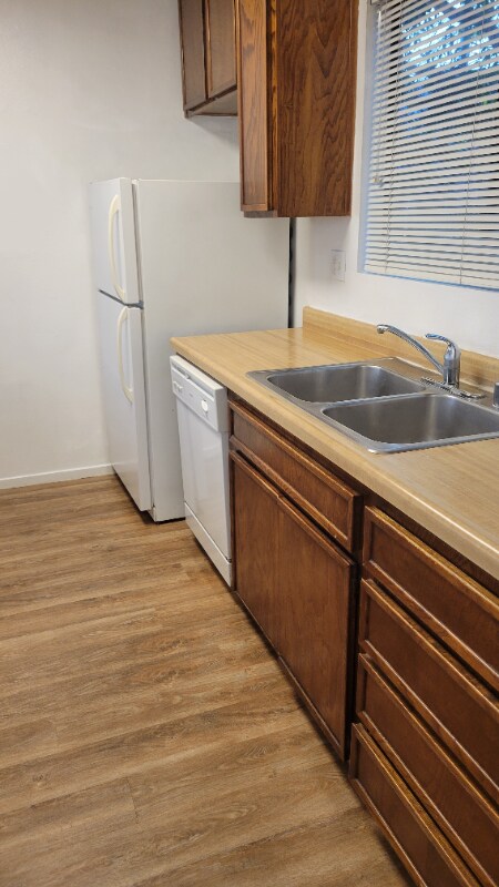 Building Photo - 1533 El Tigre Ct