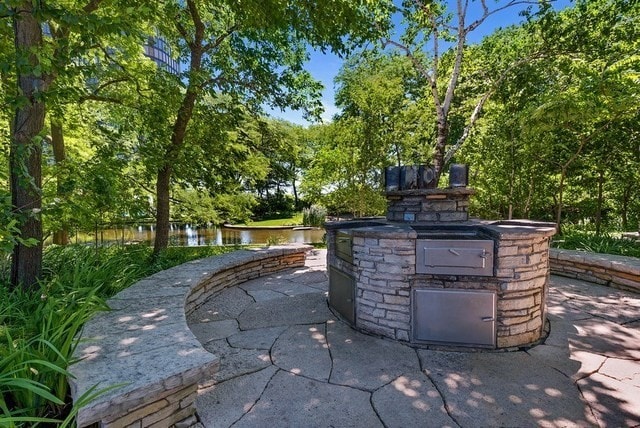 Building Photo - 505 N Lake Shore Dr