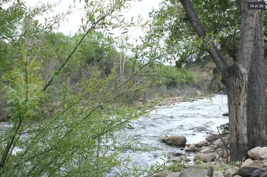 Building Photo - 121 Larch Ct