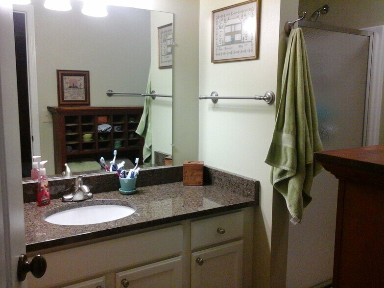 guest bathroom - 915 Pope Street