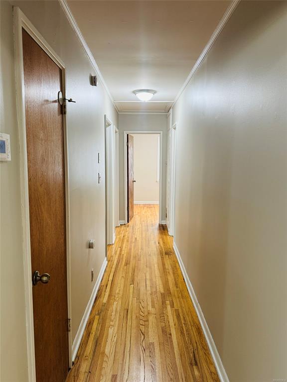 Building Photo - 3609 Loxley Ln