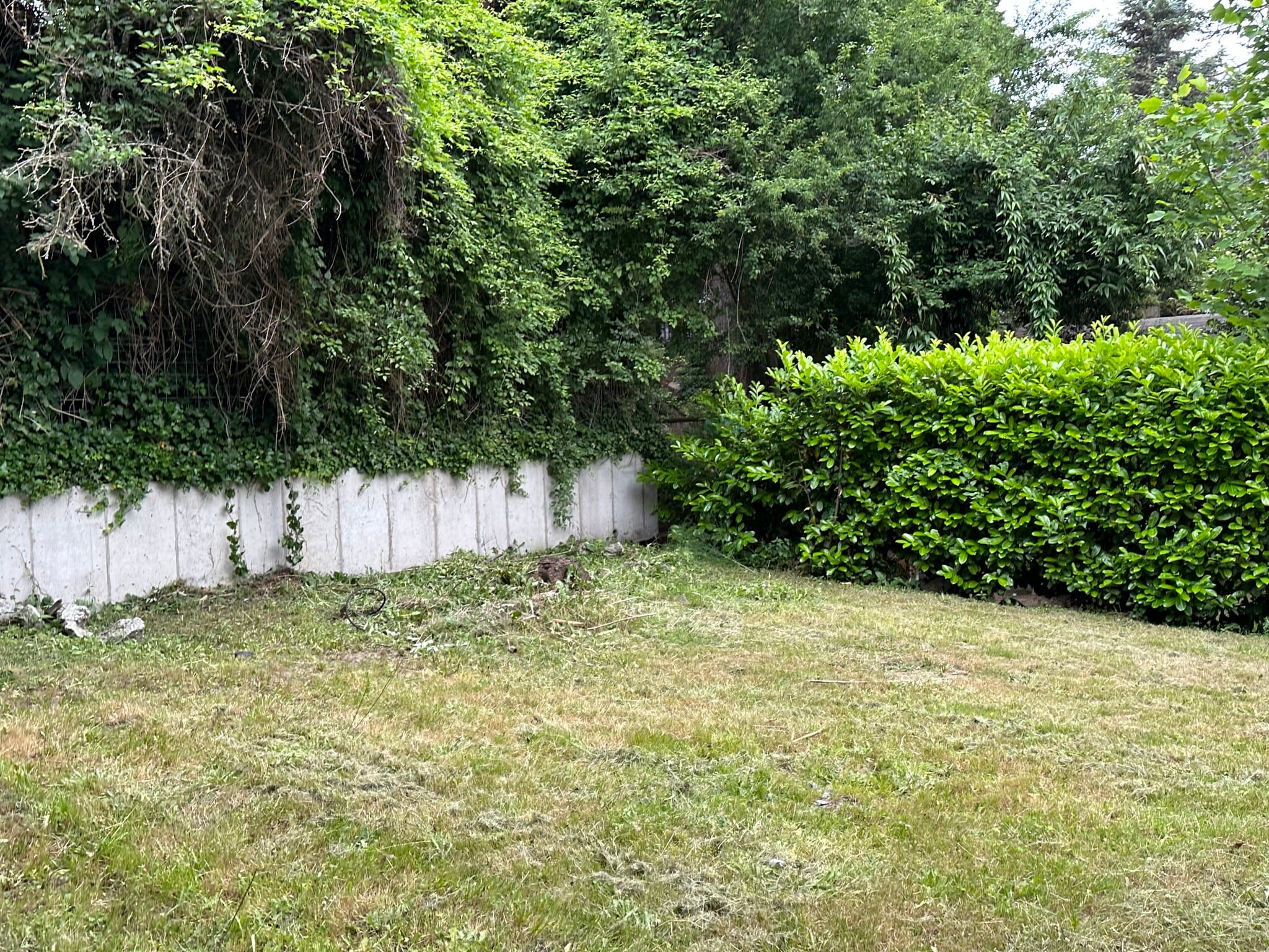 Private back yard - 4038 Greenwood Avenue North