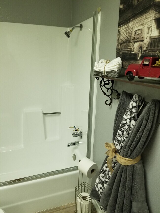 main bathroom - 4089 W 141st St