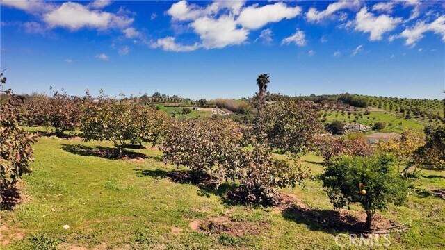 Building Photo - 31418 Cll De Talar