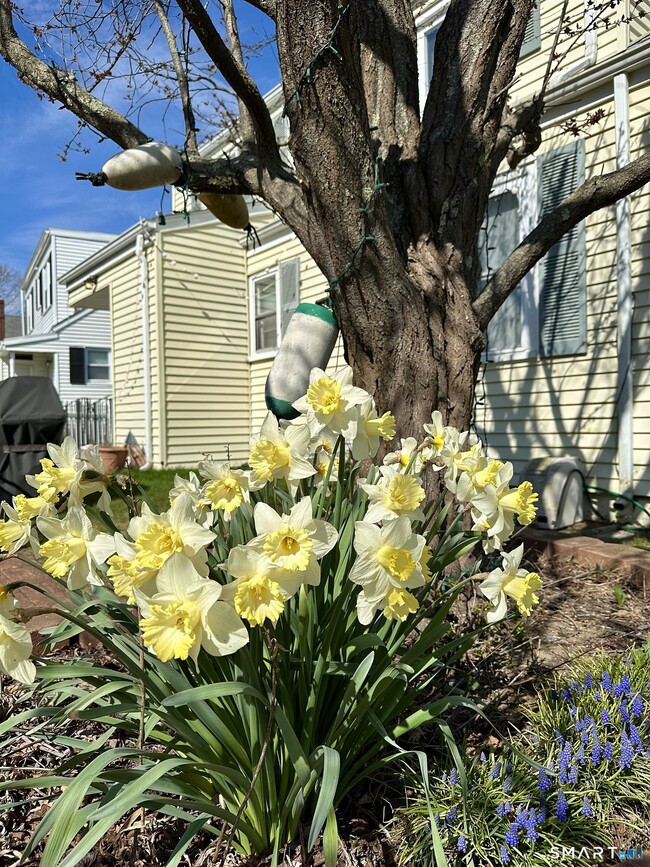 Building Photo - 40 Parkway S