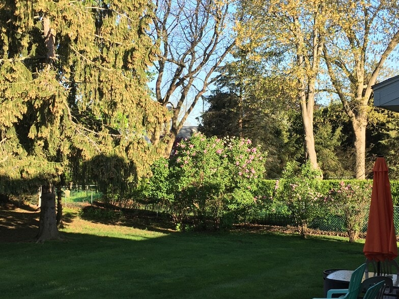 Rear Yard - 5 Graffin Dr