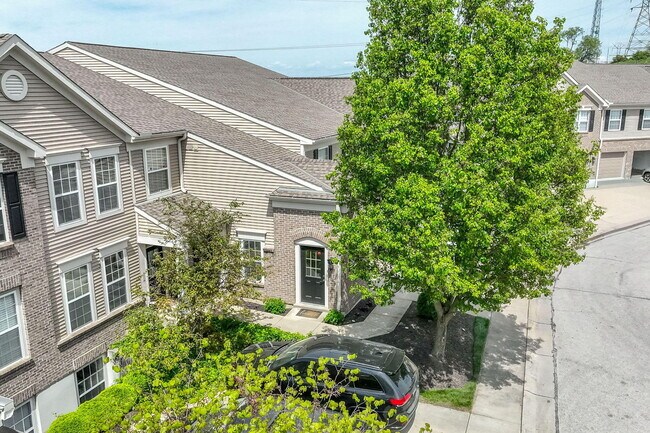 Building Photo - 323 Skyview Ct