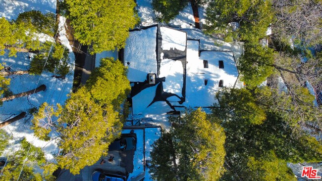 Building Photo - 233 Corona Cir