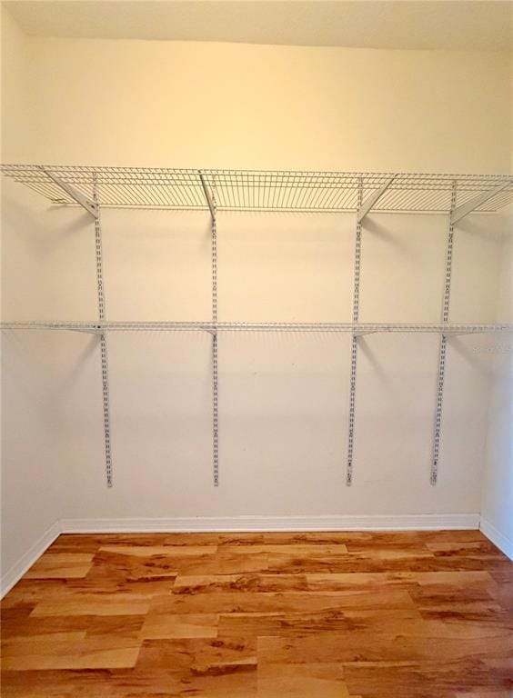 Building Photo - 4848 Tampa Downs Blvd