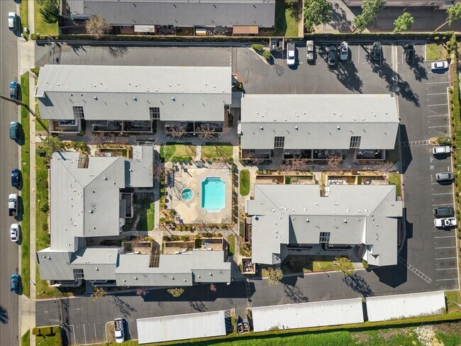 Building Photo - Parkview Palms