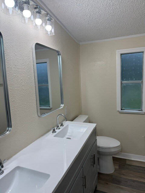 Building Photo - 4660 Creek Meadow Trail