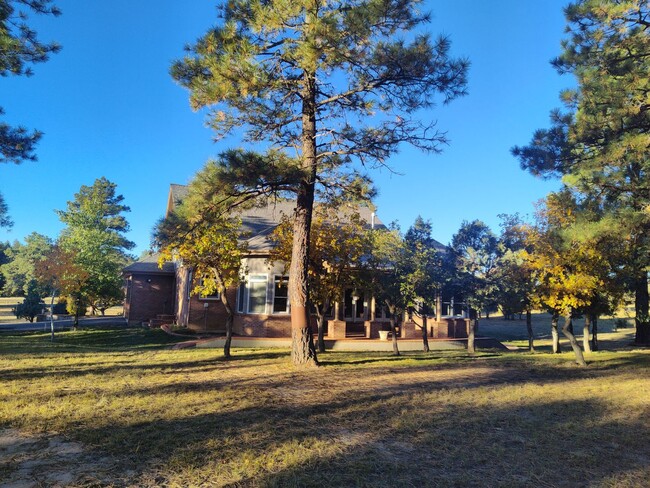 Building Photo - Stunning Executive Home in Timber Ridge!