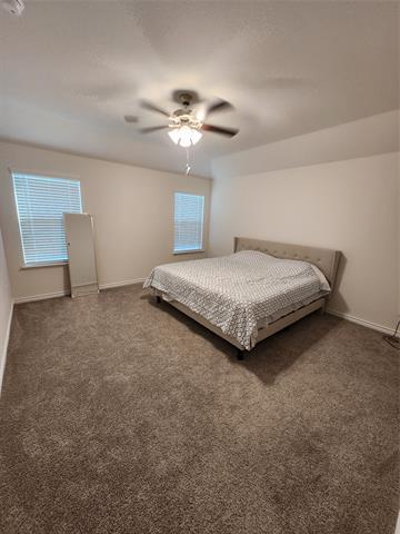 Building Photo - 1007 Marigold St