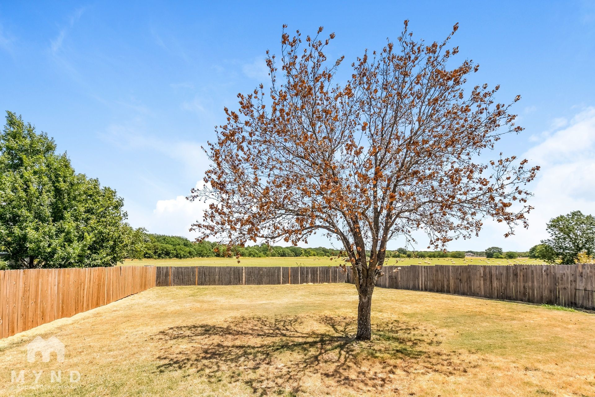 Building Photo - 4313 Napa Valley Dr