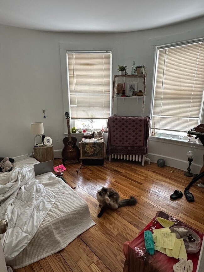 Building Photo - ALLSTON 4 BED/2 BATH FOR 9/1!  UPDATED KITCHEN AND BIG ROOMS!