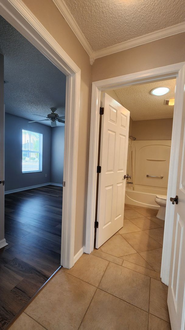 Building Photo - Village of Ashland