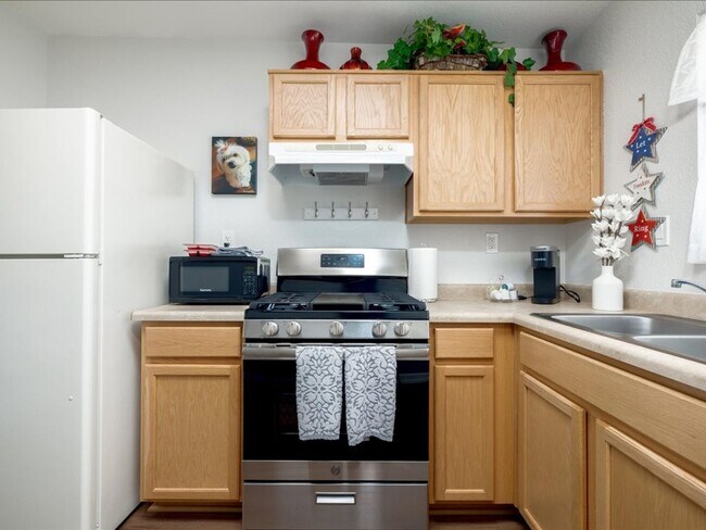 Building Photo - 1 Bedroom 1 Bathroom FULLY FURNISHED! COMM...