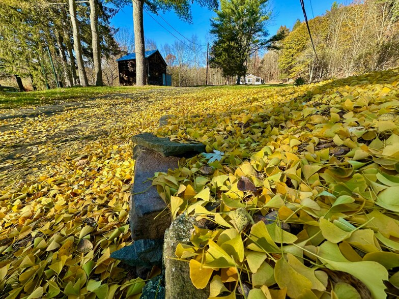 Primary Photo - 4502 State Rt 17B